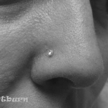 Piercings by Björn